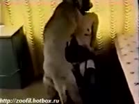 Beast Video - Skinny dilettante dirty slut wife mounted and screwed wonderfully from behind by heavy dog
